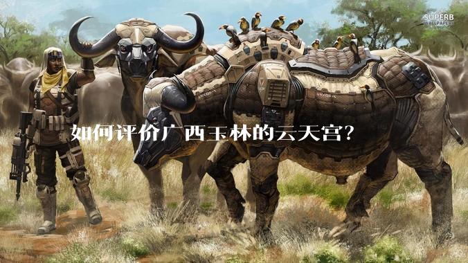 如何评价广西玉林的云天宫？