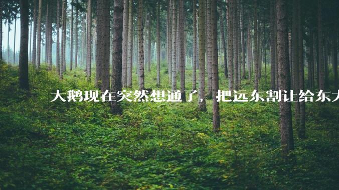大鹅现在突然想通了，把远东割让给东大，会有什么后果？