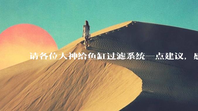 请各位大神给鱼缸过滤系统一点建议，感觉进水口的吸力不够，花篮还总停止转动。?