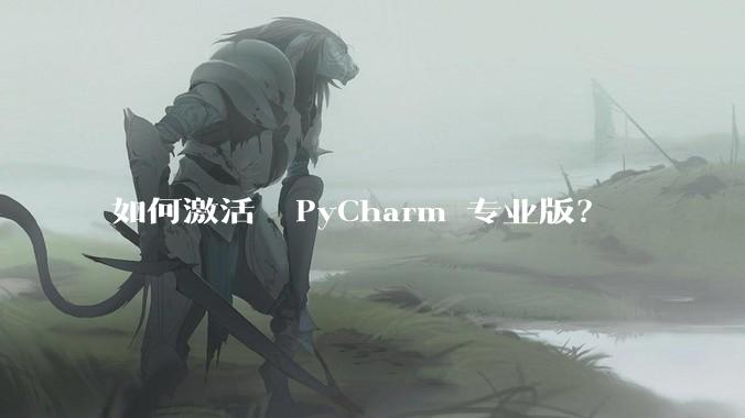 如何激活  PyCharm 专业版？