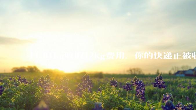 11.01kg收取12kg费用，你的快递正被收取空气费 - *