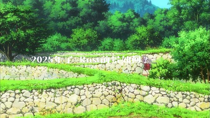 2025年了 Rust前景如何?