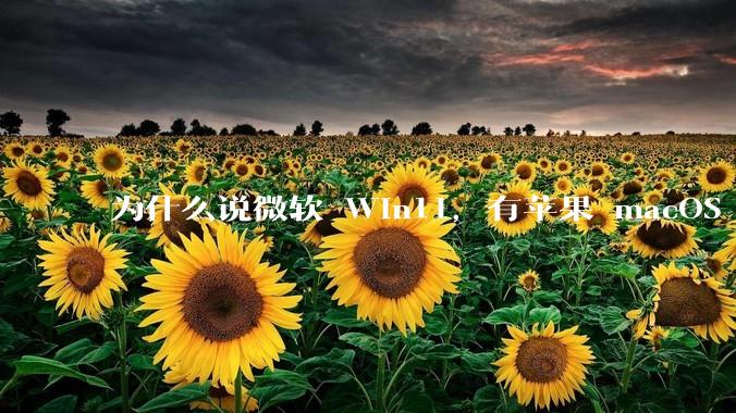 为什么说微软 Win11，有苹果 macOS 的感觉？