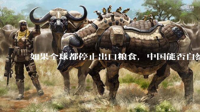 如果全球都停止出口粮食，中国能否自给自足？