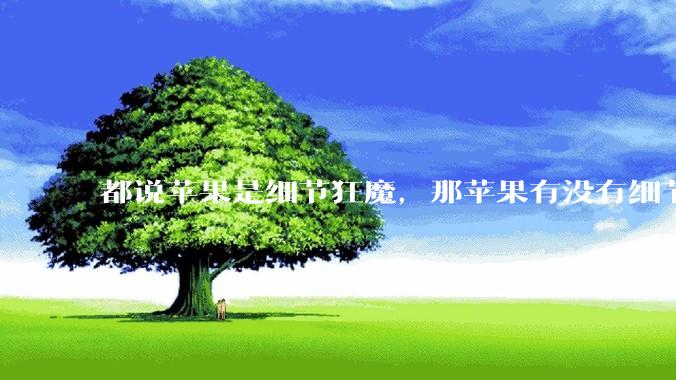 都说苹果是细节狂魔，那苹果有没有细节其实做的很差的点？
