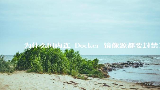 为什么国内连 Docker 镜像源都要封禁？
