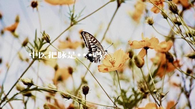 中医把脉是***吗？