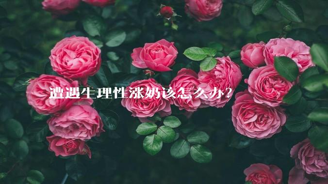 遭遇生理性涨奶该怎么办？