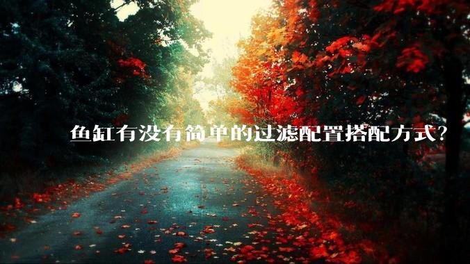 鱼缸有没有简单的过滤配置搭配方式？